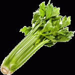 Celery
