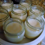 Yogurt, Milk and Soymilk