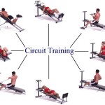 Circuit Training