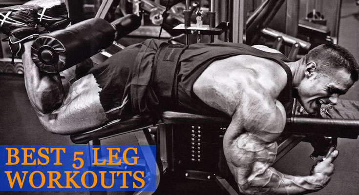 5 Leg Workouts