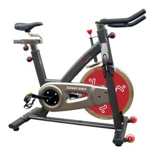 Sunny SF-B1002 Indoor Cycling Exercise Bike