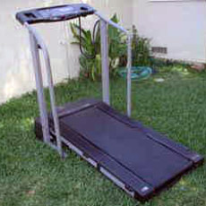 Life Styler expanse 850 Treadmill