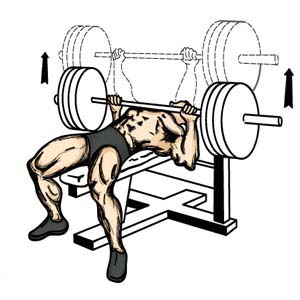 Barbell Close Grip Bench Press