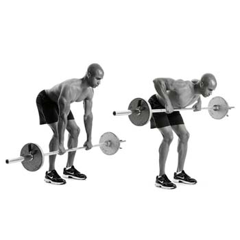 barbell rows