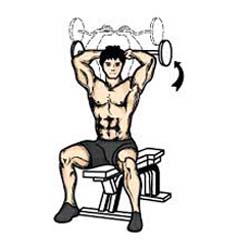 Barbell Triceps Extension