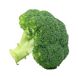 Broccoli