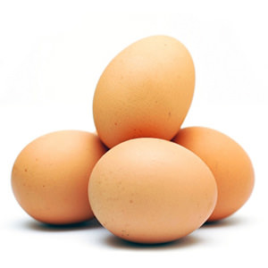 Eggs-