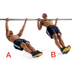 Inverted Row