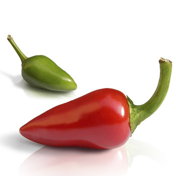 Pepper