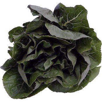 Spinach