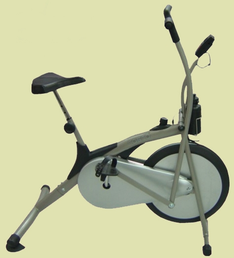 cosco exercise bike price
