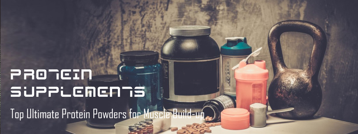 Top Protein Powders for Muscle Build-up