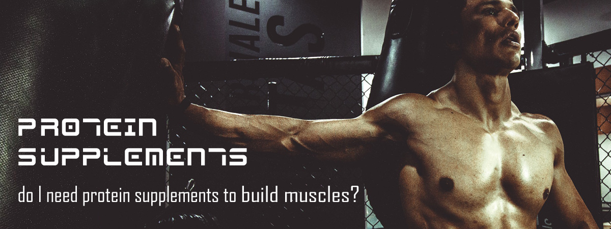 Protein Supplements for Muscle Building