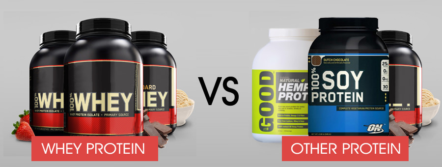 Whey Protein Comparison